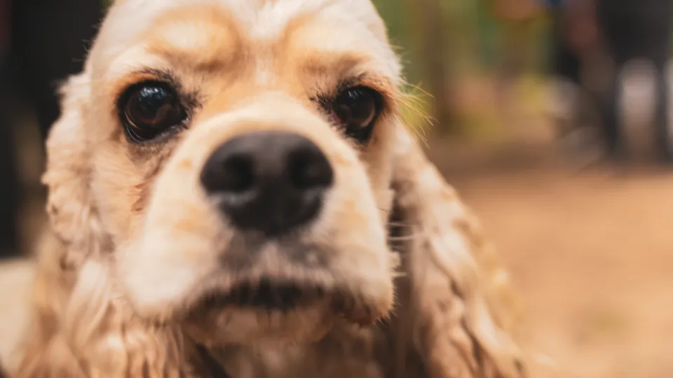 Фото: REGIONS/Наталия Надточая