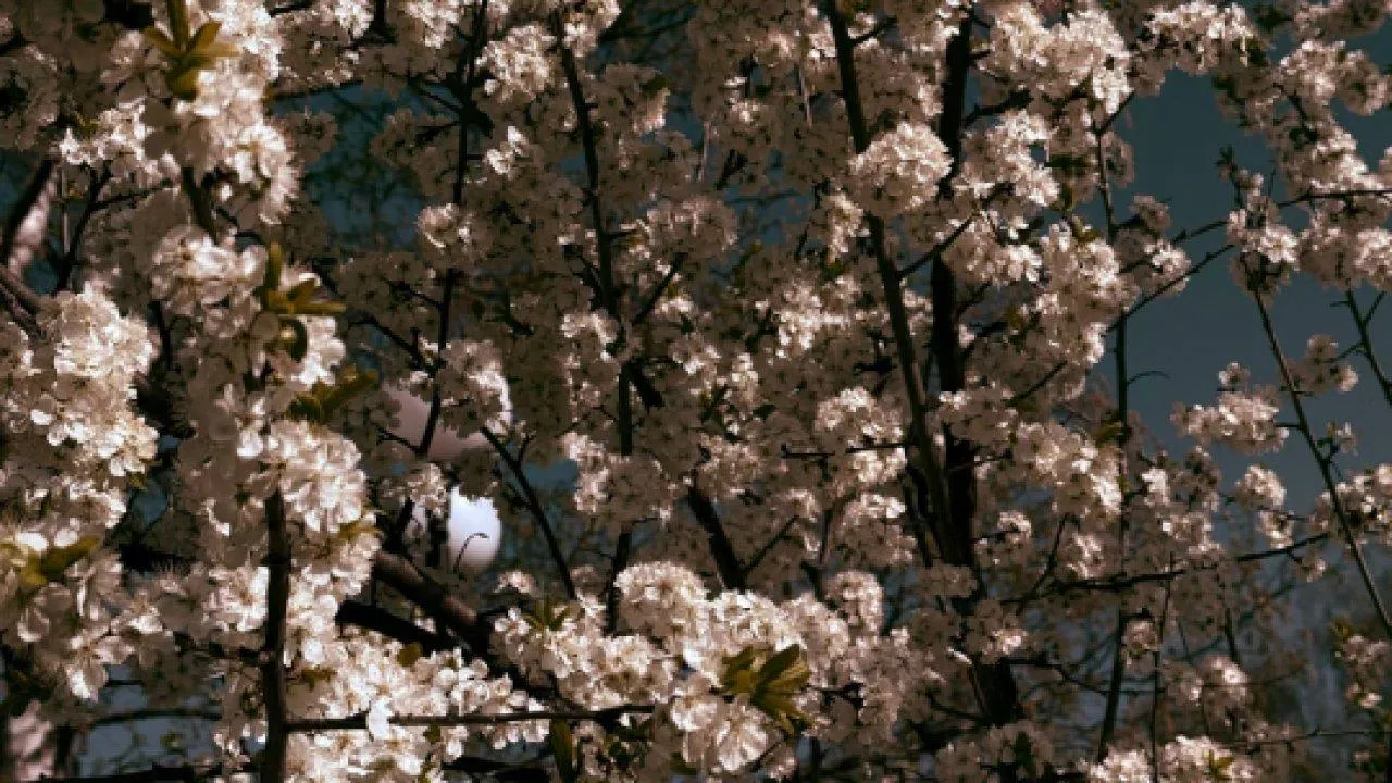 REGIONS/Дарья Кудинова