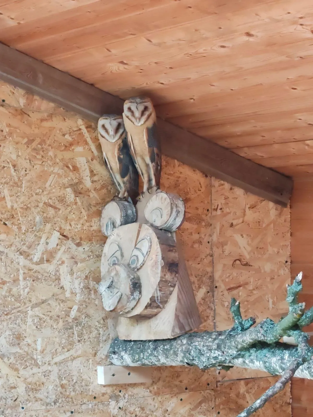 Фото: Руза Заповедная / Вконтакте