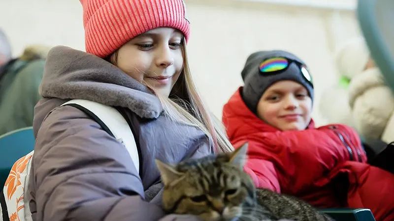 «Примем как родных!»: жители Подмосковья готовы делиться квартирами и домами с беженцами с Украины