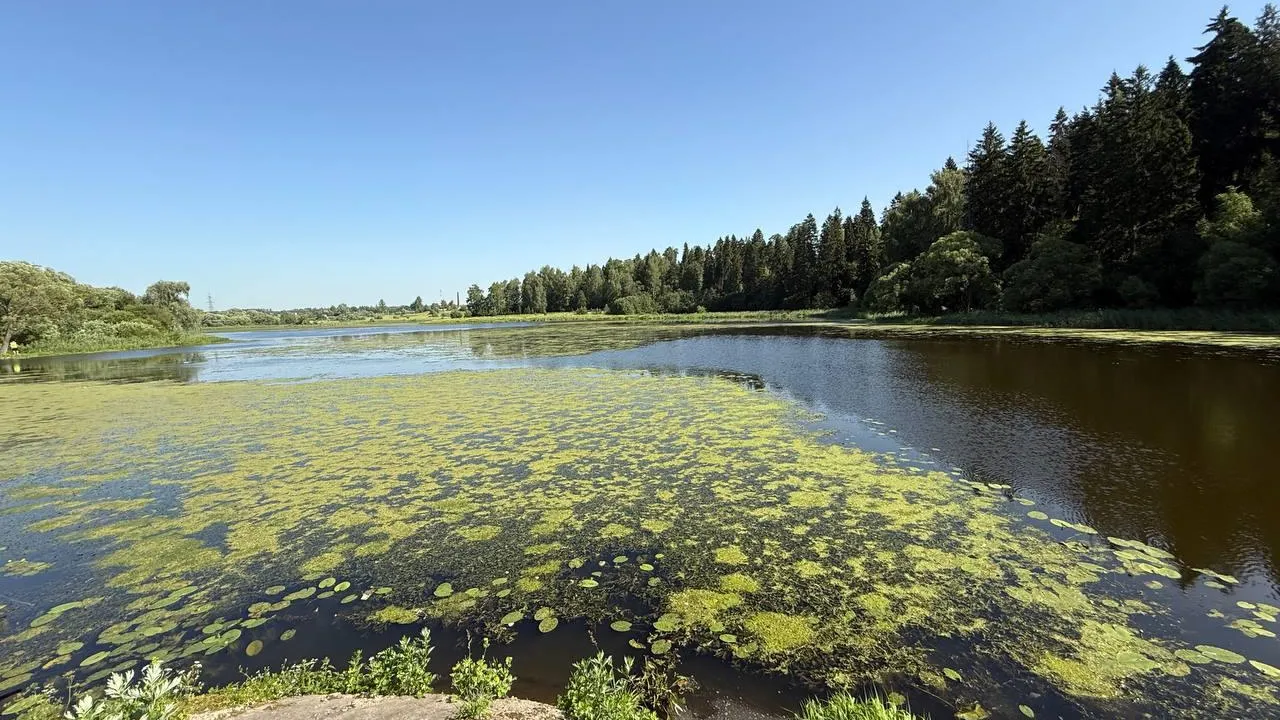 Фото: Министерство экологии и природопользования Московской области