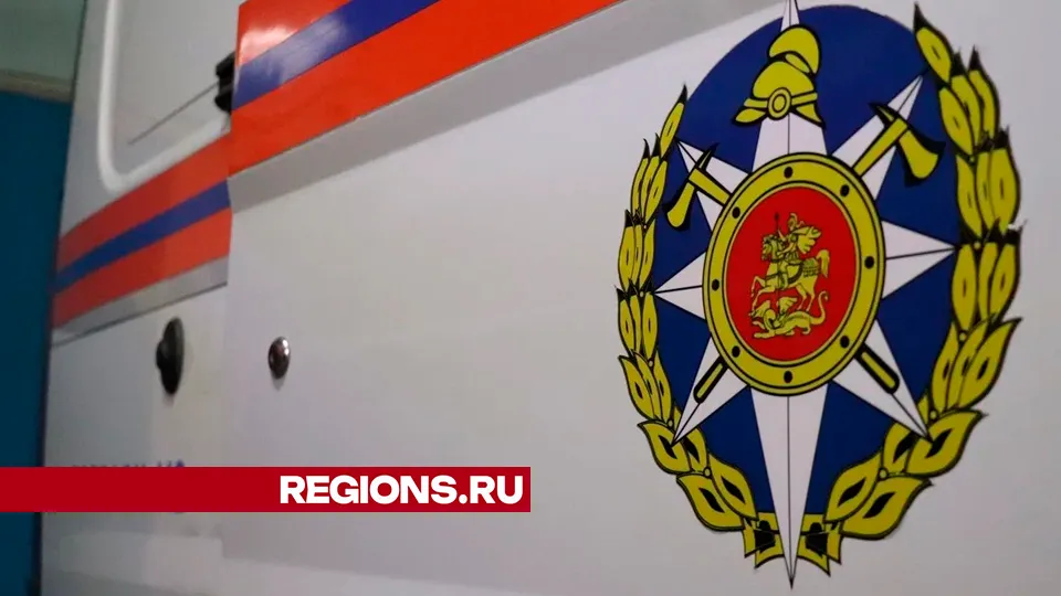 Фото: REGIONS/Василий Тремасов