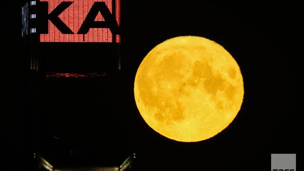 Фото: Владимир Смирнов/ТАСС