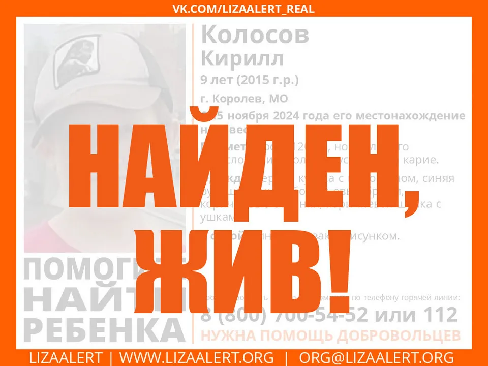&nbsp; Фото: Добровольческий поисково-спасательный отряд «Лиза Алерт»
