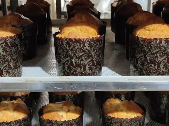 Фото: Министерство образования Московской области