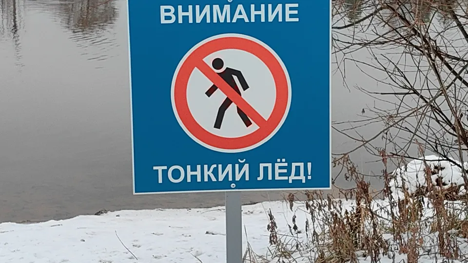 Фото: МедиаБанк Подмосковья/Елена Катасонова