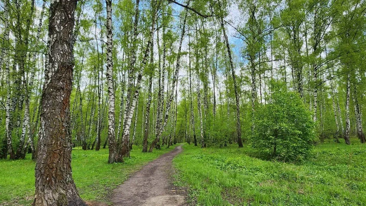 REGIONS/Наталья Надточая