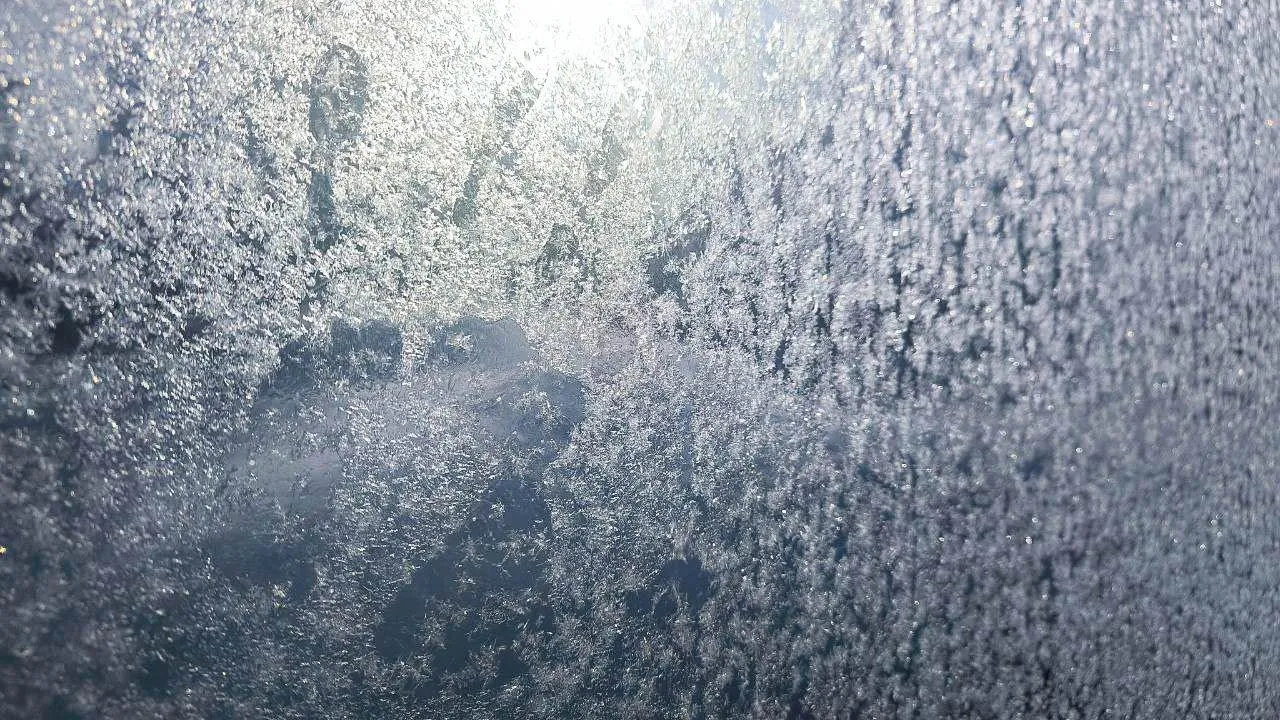 REGIONS/Роман Малышенко