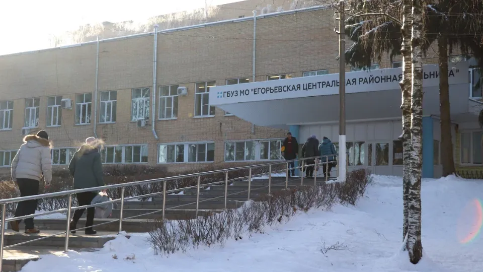 Фото: Василий Тремасов