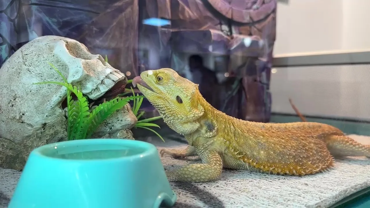 Фото: Ксения Казакова