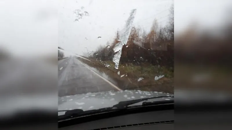 Снег выпал в Сергиево-Посадском районе