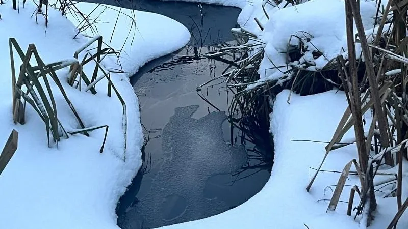 Минэкологии МО.