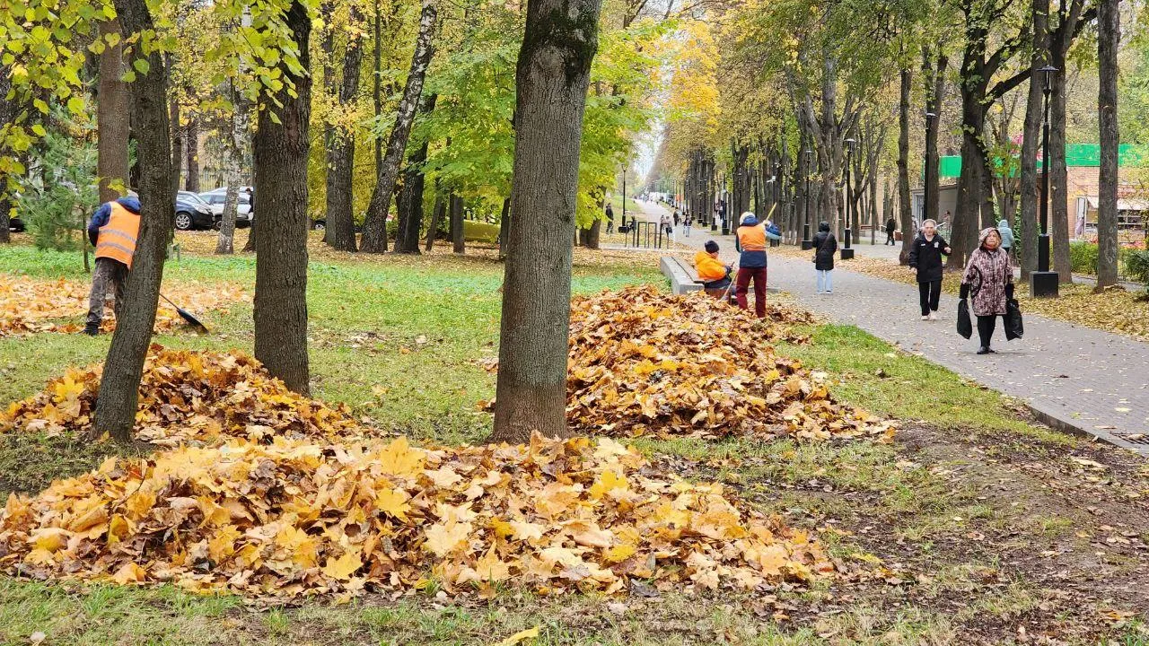 Фото: Мария Панина