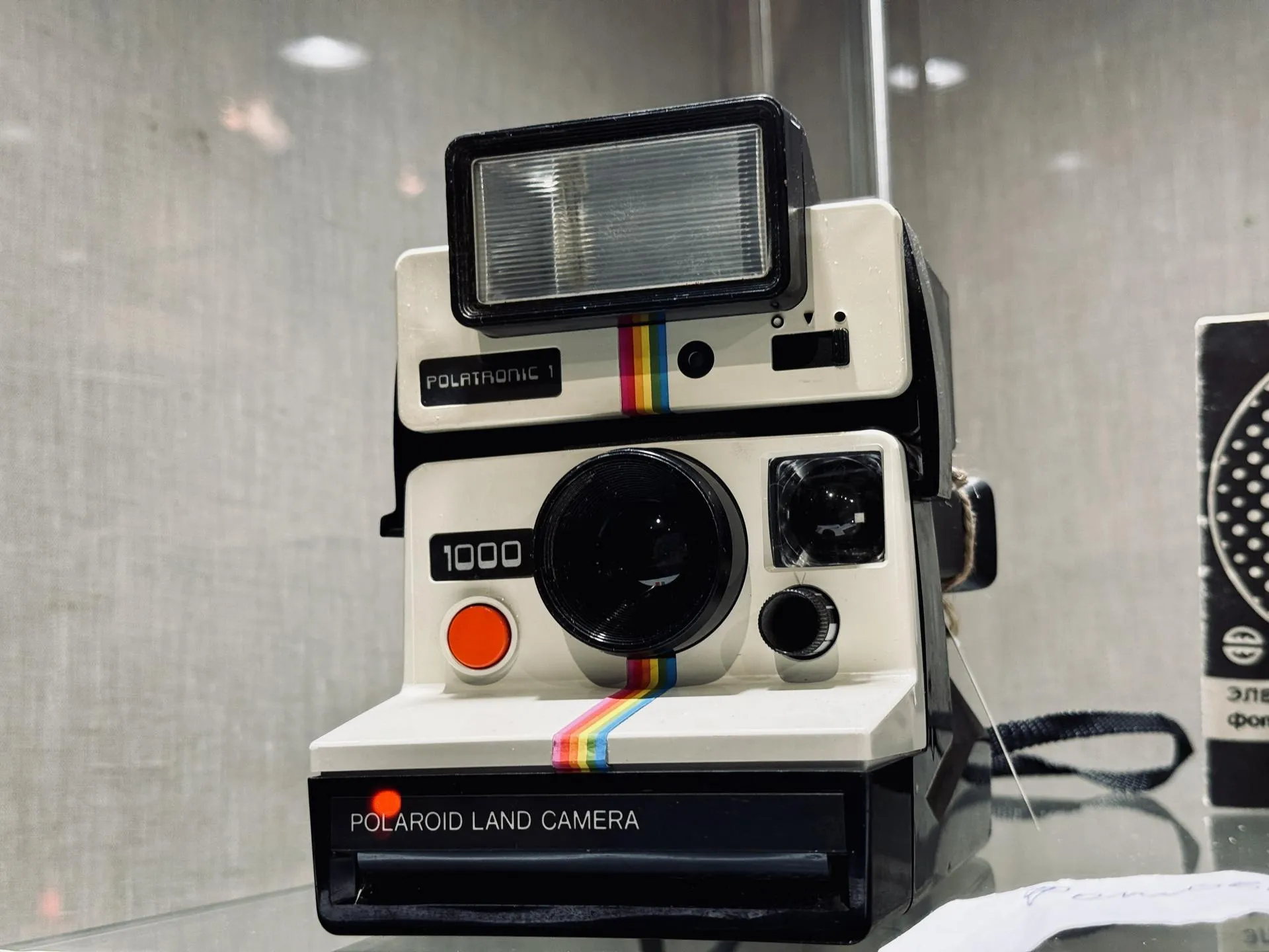 Фото: Ольга Стаферова