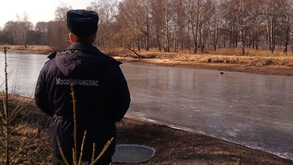 Фото: ГКУ МО «Мособлпожспас»