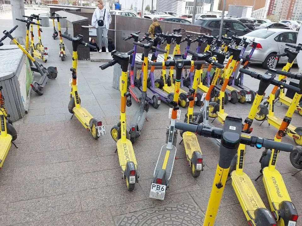 Фото: https://t.me/nekrasovkanew&nbsp;