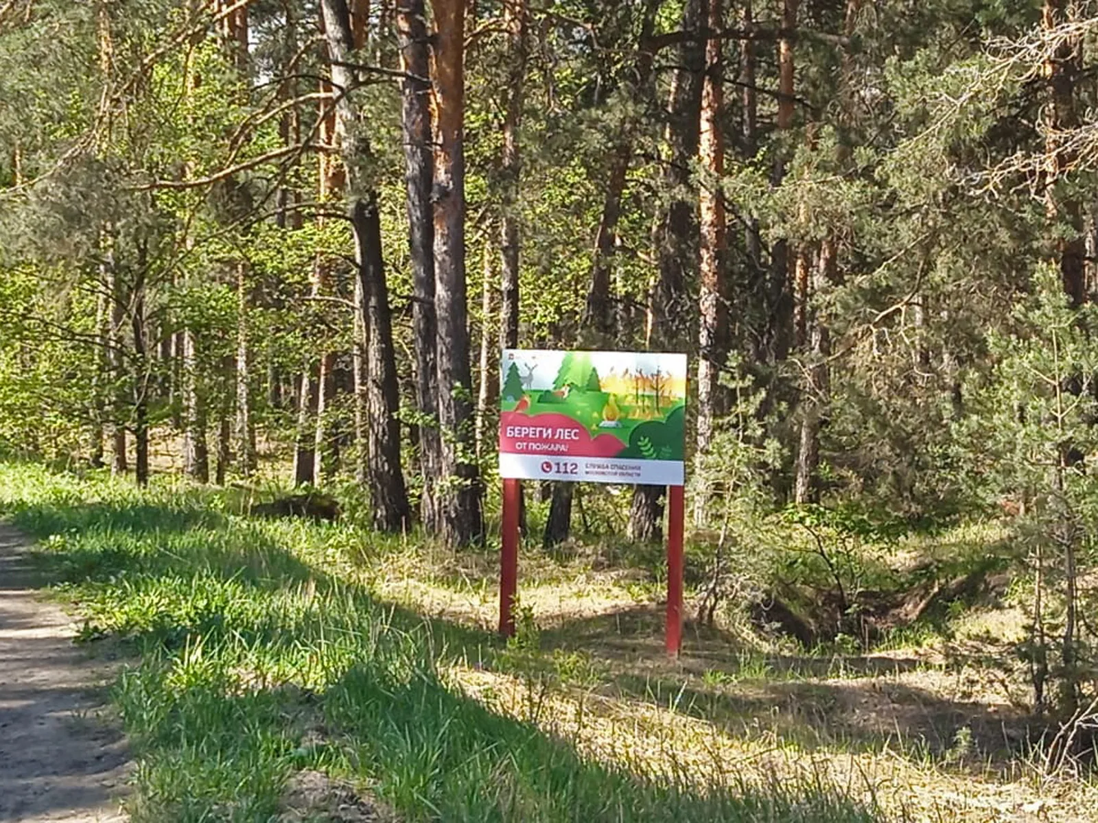 Фото: ГКУ МО «Мособлпожспас»