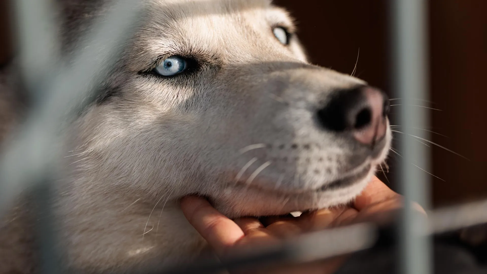 медиасток.рф