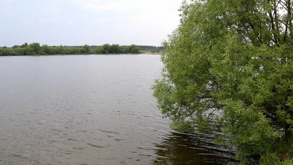 Фото: REGIONS/Александр Дрожжин