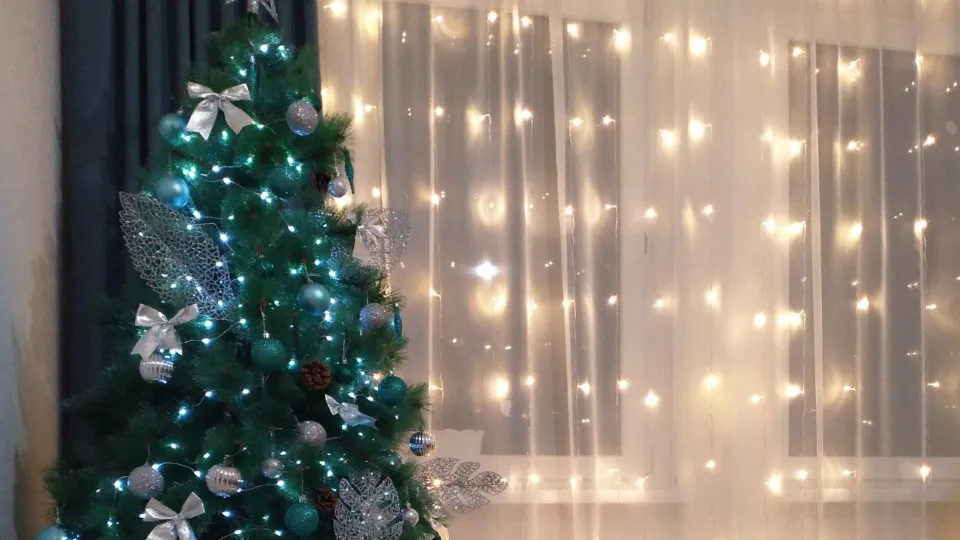 Фото: МедиаБанк Подмосковья/Валерия Тингаева