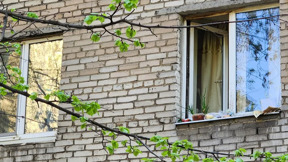 Фото: МедиаБанк Подмосковья/Наталья Лымарь