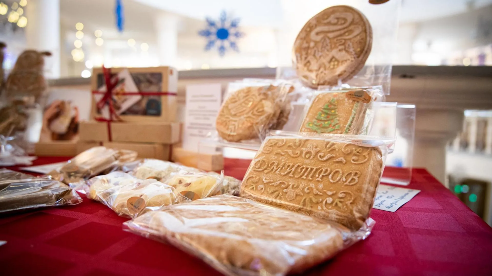 Фото Администрация Дмитровского городского округа.