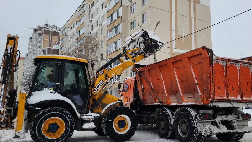МедиаБанк Подмосковья/Валерия Тингаева