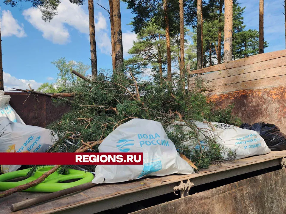 Фото: Валерия Тингаева