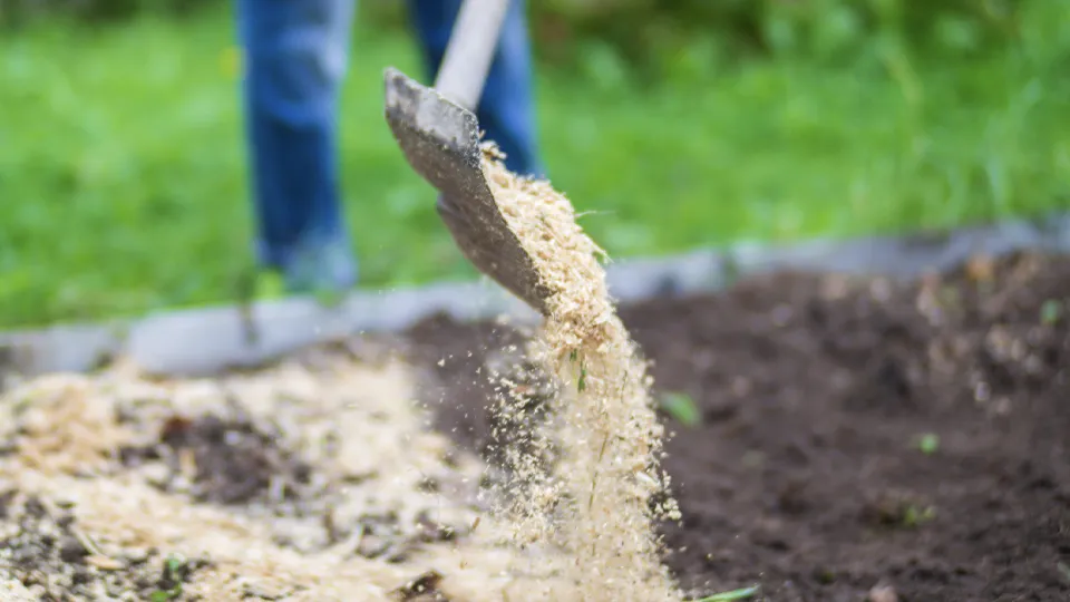 Фото: istockphoto.com/Evgeny Shaplov