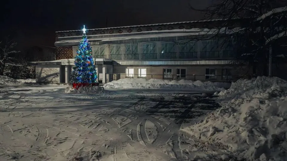 Фото: пресс-служба администрации г.о. Лосино-Петровский