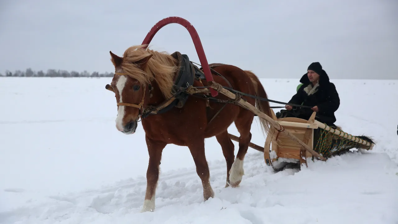 медиасток.рф