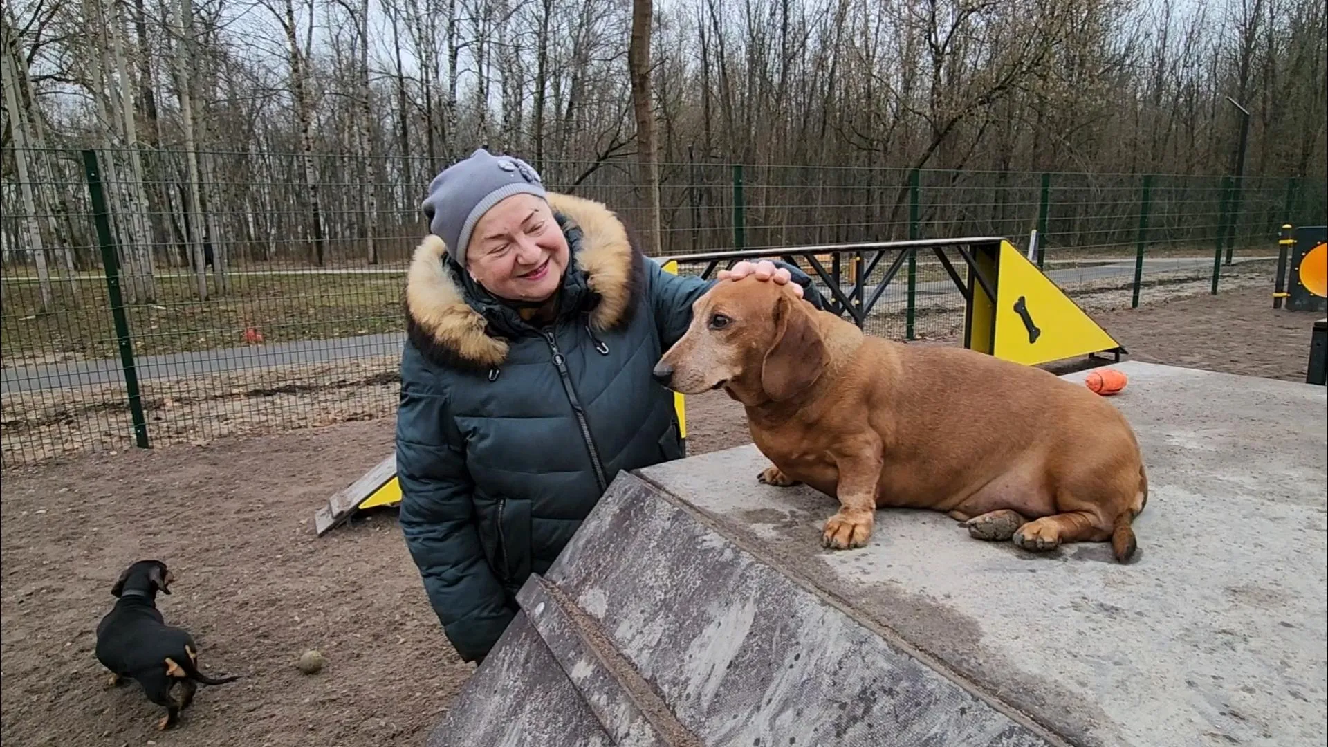 Добрынина Галина