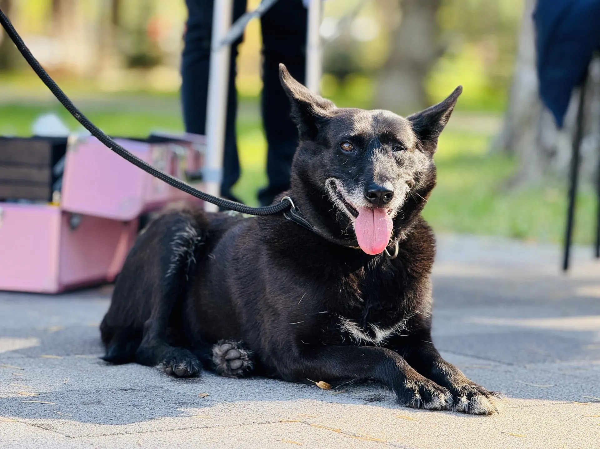 Фото: Медиабанк Подмосковья/Ольга Стаферова