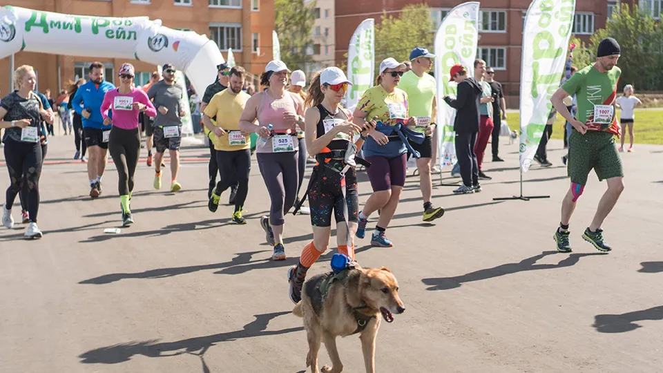 Фото: vk.com/Твой путь.