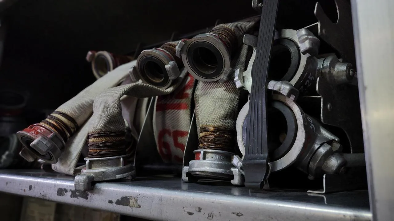 МедиаБанк Подмосковья/Екатерина Данилина