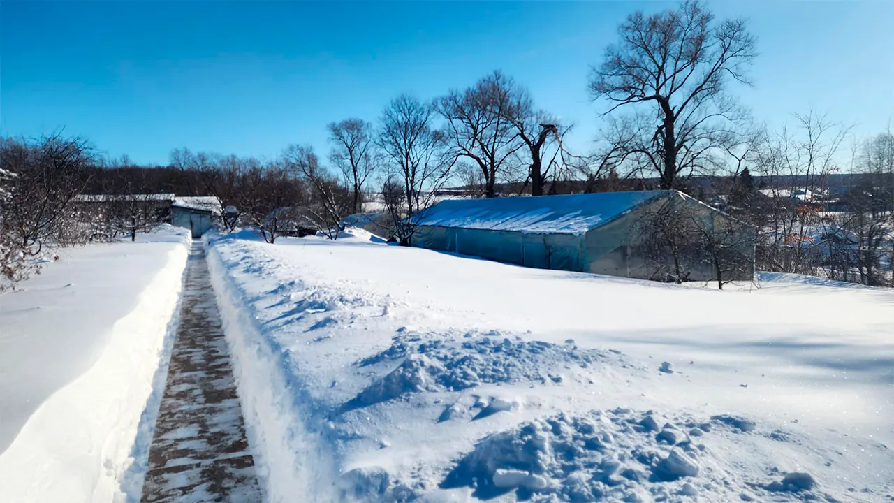 Станислав Орлов