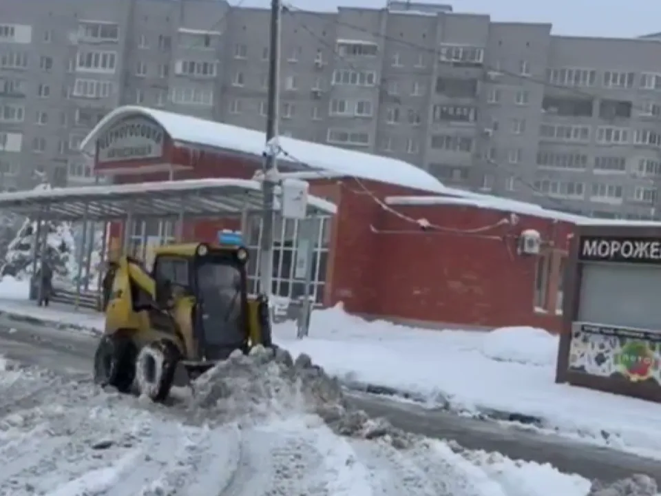 Фото: пресс-служба администрации г.о. Черноголовка