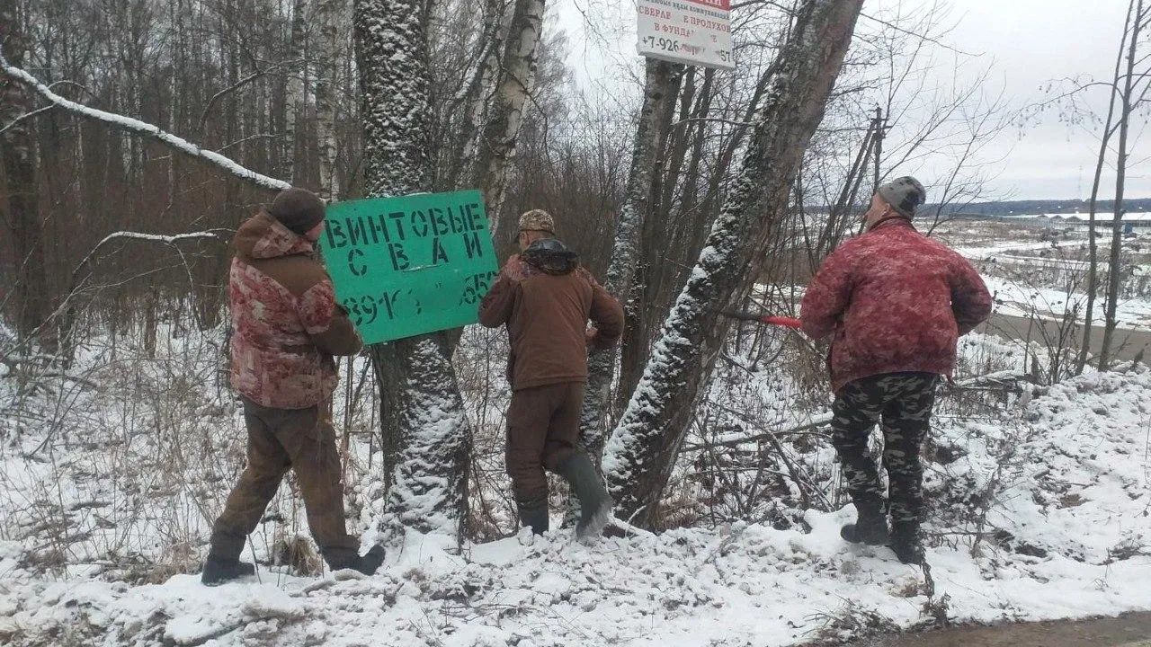 Фото: Комитет лесного хозяйства МО