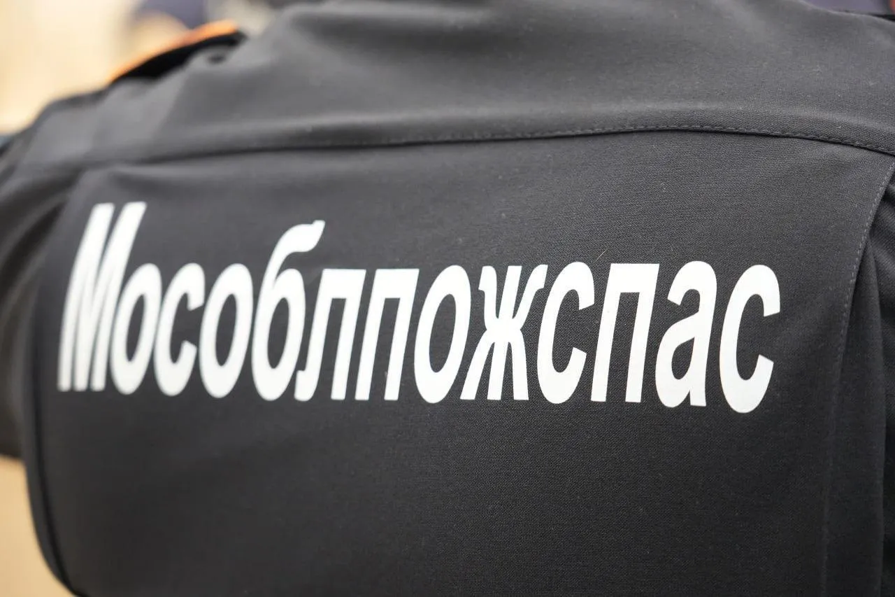 Фото: Дмитрий Зайчиков