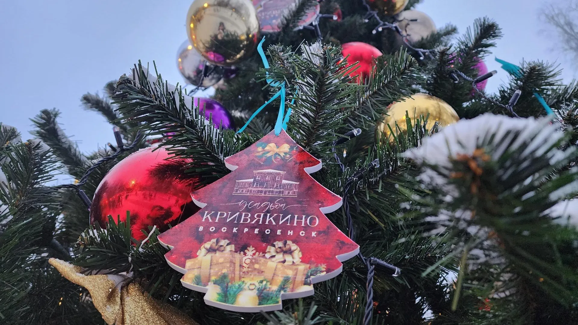 Фото: Светлана Плотникова