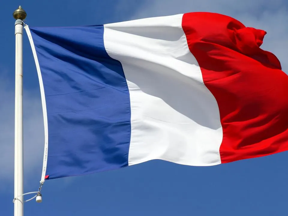 Франция горит: скинут ли протестующие Макрона с кресла президента — кто перепишет Конституцию?