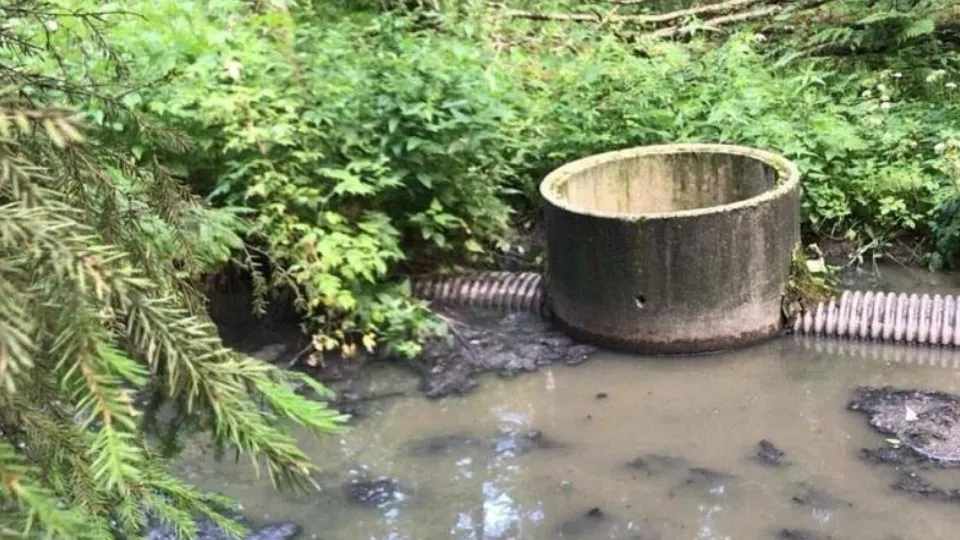 Фото: Министерство экологии и природопользования Московской области