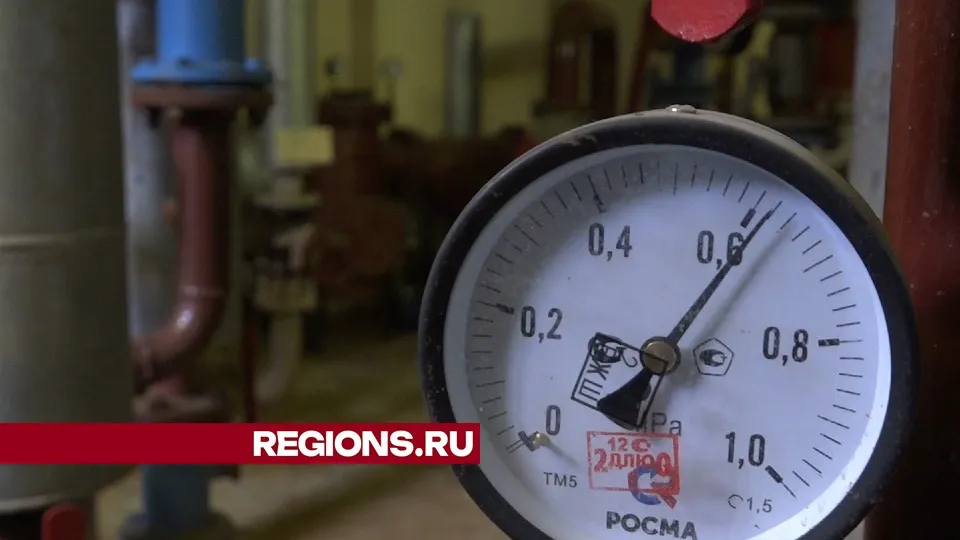 Фото: Елена Аботурова