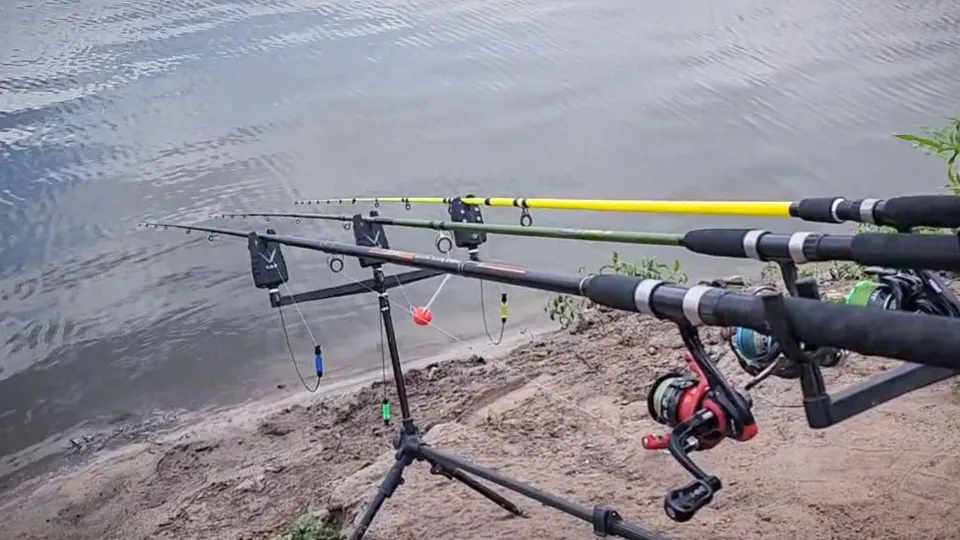 Фото: Ольга Антонова