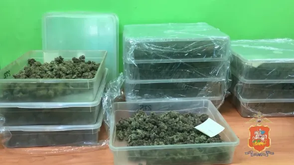 Фото ГУ МВД России по Московской области