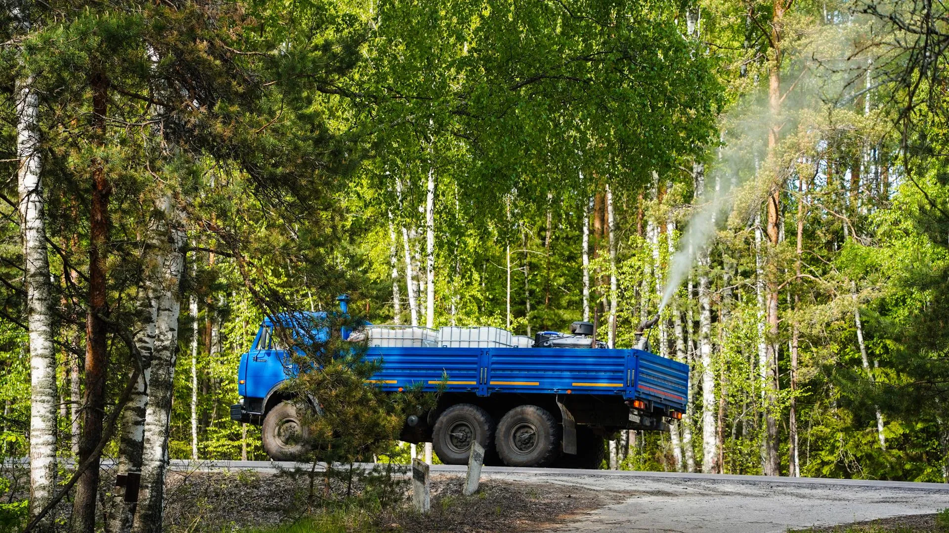 В городском округе Шатура леса обрабатывают от вредителей