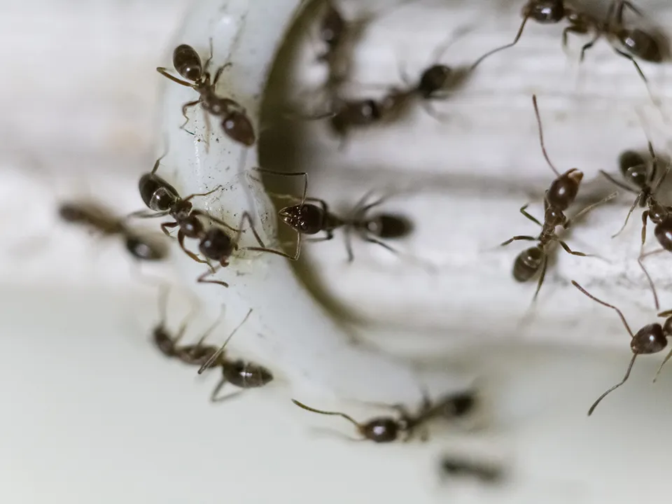 Фото: istockphoto.com