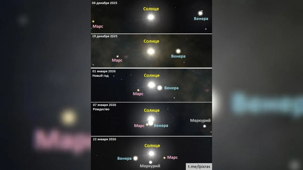 Источник: Telegram-канал Лаборатории солнечной астрономии