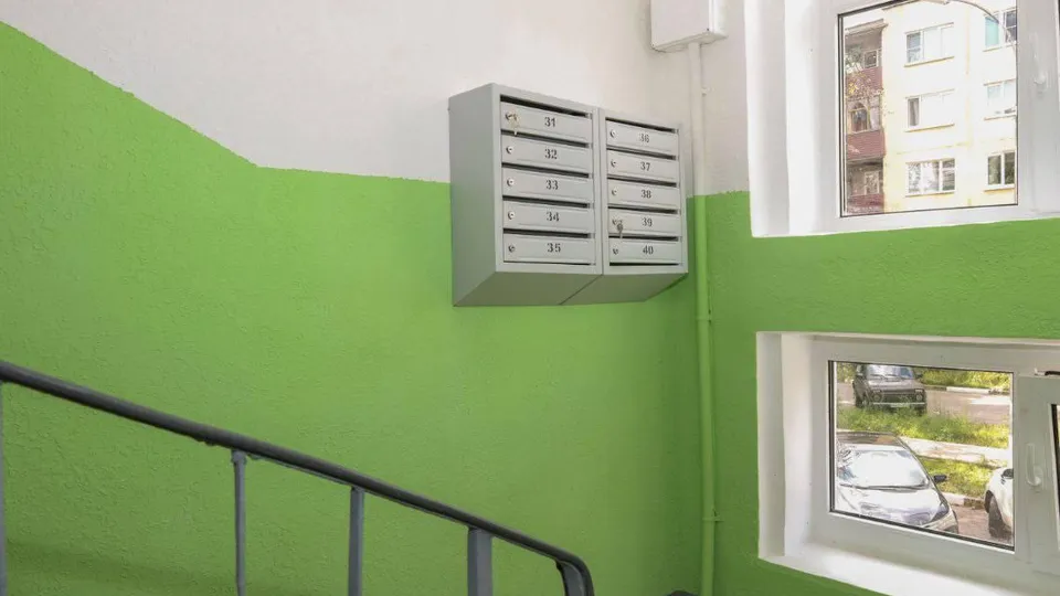 Фото: Раменский медиацентр