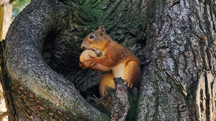 Фото: Ксения Пашуто